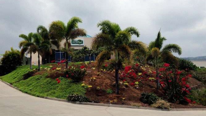 storage facility office on top of hill with tropical landscaping