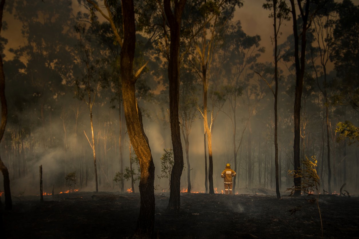 Steps To Safeguard Your Belongings During Fire Season